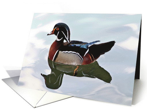 Birthday - Duck card (706730)