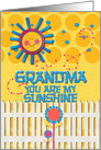 Happy Grandparents Day Grandma You Are My Sunshine card