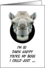 Boss’s Day Greetings Funny Camel Humorous card