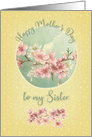 Happy Mother’s Day to Sister Pretty Cherry Blossoms in Bloom card