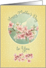 Happy Mother’s Day Pretty Cherry Blossoms in Bloom card