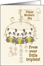 Happy Mother’s Day From Triplet Boys Panda Bears on a Swing card