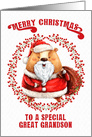 Merry Christmas to Great Grandson Big Bear in Santa Suit card