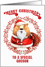 Merry Christmas to Godson Big Bear in Santa Suit card
