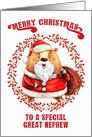 Merry Christmas to Great Nephew Big Bear in Santa Suit card