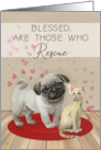 New Pet Congratulations for Animal Rescue Pug Dog Devon Rex Cat card