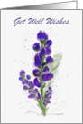 Get Well Wishes Beautiful Purple Flowers Digital Watercolor card