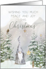 Christmas Greetings Mountain Scene with Gnome and Stars card