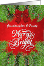 Granddaughter and Family Merry and Bright Christmas Greetings card