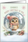 Grandniece Merry Christmas Adorable Owl in a Snow Globe card