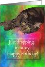 Happy Birthday Cat Dropping in to Say Happy Birthday card