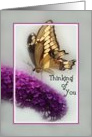 Butterfly Visiting Butterfly Bush Thinking of You card