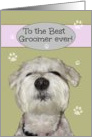 Thank You to the Best Groomer ever, Maltese card