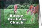 Happy Birthday Chuck with Three Deer card
