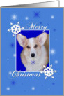 Merry Christmas Corgie card