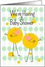Baby Shower Invitation for Twin Boys with Twin Birdies card