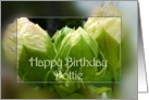 Happy Birthday Dottie card