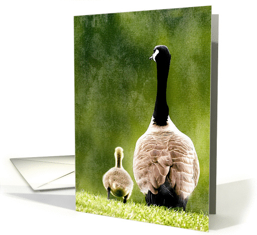 Goose and Gosling Adorable Photograph Blank Note card (1041169)
