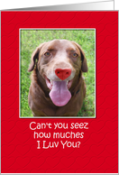 Happy Valentine’s Day Meme Style Funny Dog with Heart Nose card