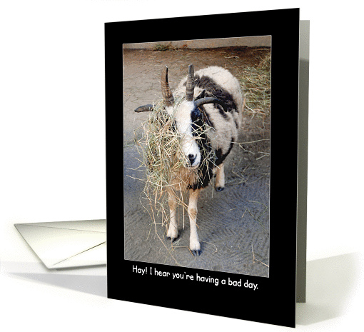 Encouragement Bad Day Humorous Goat card (1189334)