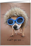 Happy Valentine’s Day Funny Little Chihuahua Dog Big Glasses card