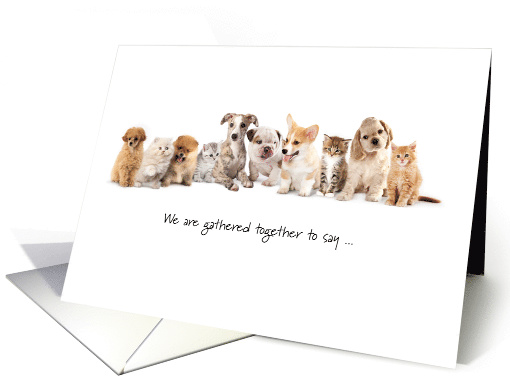 Happy Birthday from Group Cute Dogs and Cats Funny Puns card (1215770)