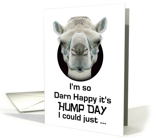 Hump Day Funny Camel Just Spit card (1248254)