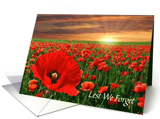 Remembrance Day Poppies and Sunset Lest We Forget card (1254980)