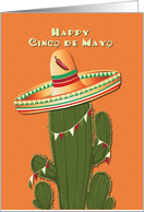 Happy Cinco de Mayo...