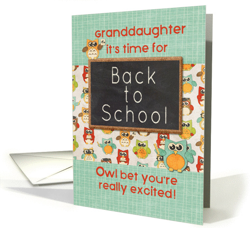 Granddaughter Back to School Colorful Owls and Chalkboard card