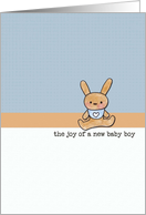 New Baby Boy Cute Little Bunny Baby Shower Congratulations card