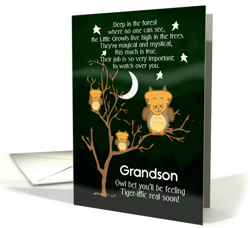 Get Well Soon Grandson for Kids Children's Fantasy Animal... (1377894)