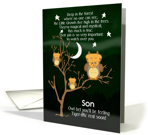 Get Well Soon for Son for Kids Children's Fantasy Animal... (1377994)