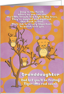Get Well Soon Granddaughter Cute for Kids Fantasy Animal Tiger Owl card