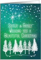 Merry Christmas to Sister & Family Beautiful Christmas Trees and Snow card