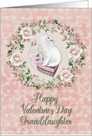 Happy Valentine’s Day to Granddaughter Pretty Kitty Hearts and Flowers card