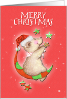 Merry Christmas Adorable Teddy Bear Moon and Stars card