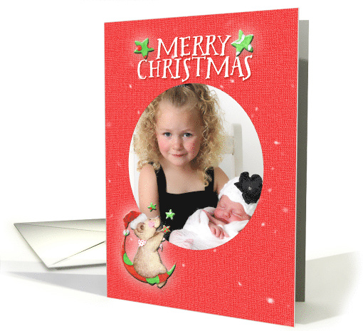 Merry Christmas Adorable Teddy Bear Moon and Stars Custom Photo card