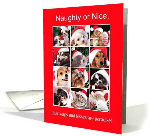 Merry Christmas from Veterinarian's Office Collage of Pets card