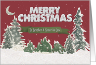 Merry Christmas to Brother and Sister in Law Pine Trees and Snow Scene card
