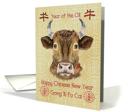 Happy Chinese New Year Year of the Ox Ox Head and Chinese Symbols card