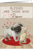 New Pet Congratulations for Animal Rescue Pug Dog Devon Rex Cat card