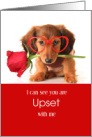 I Am Sorry Apology Cute Dachshund with a Rose and Glasses card