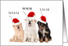 Merry Christmas Cute Dogs in Santa Hats Singing card