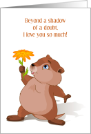Anniversary on Groundhog Day Cute Groundhog with Flower card