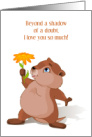 Anniversary on Groundhog Day Cute Groundhog with Flower card