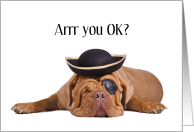 Torn Retina Get Well Humorous Pirate Pun with Cute Bulldog card
