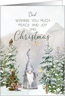 Dad Christmas Mountain Scene with Gnome and Stars card