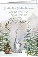Granddaughter and Granddaughter in Law Family Christmas Gnome card
