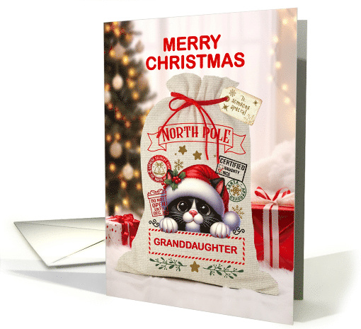 Granddaughter Cute Cat and Christmas Santa Sack card (1889408)